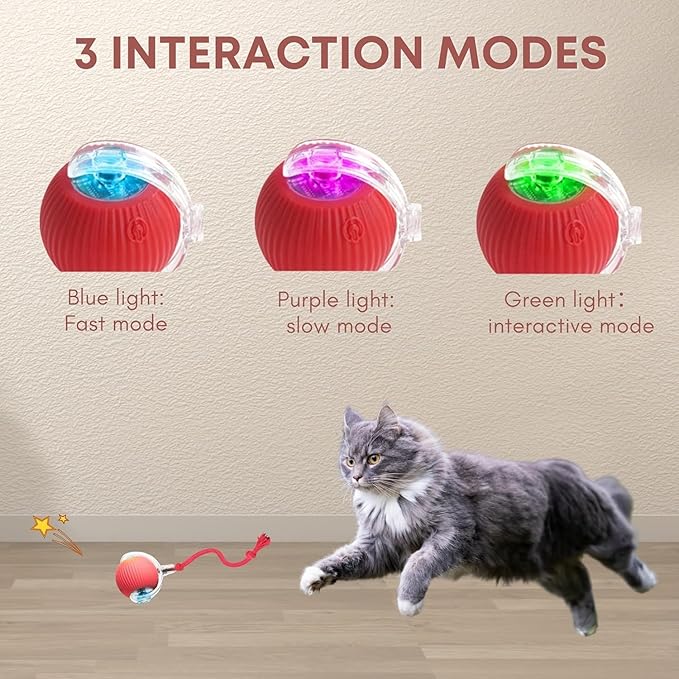 Zoomies - The Rechargeable Interactive Ball Toy