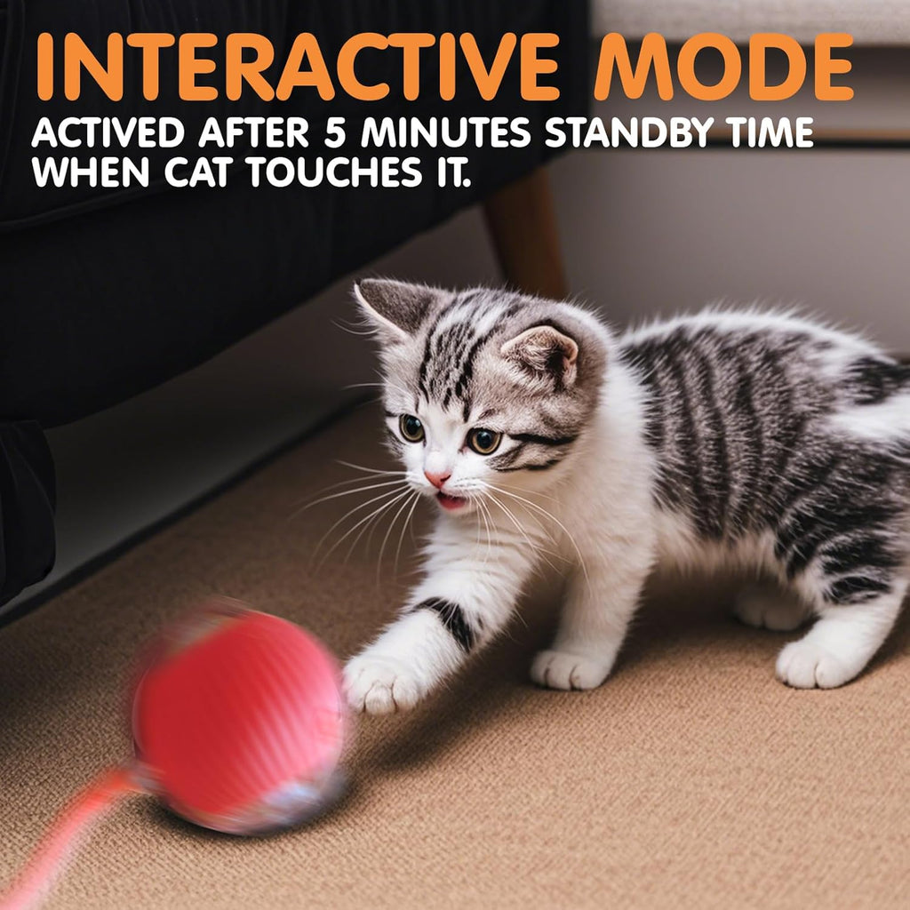 Zoomies - The Rechargeable Interactive Ball Toy
