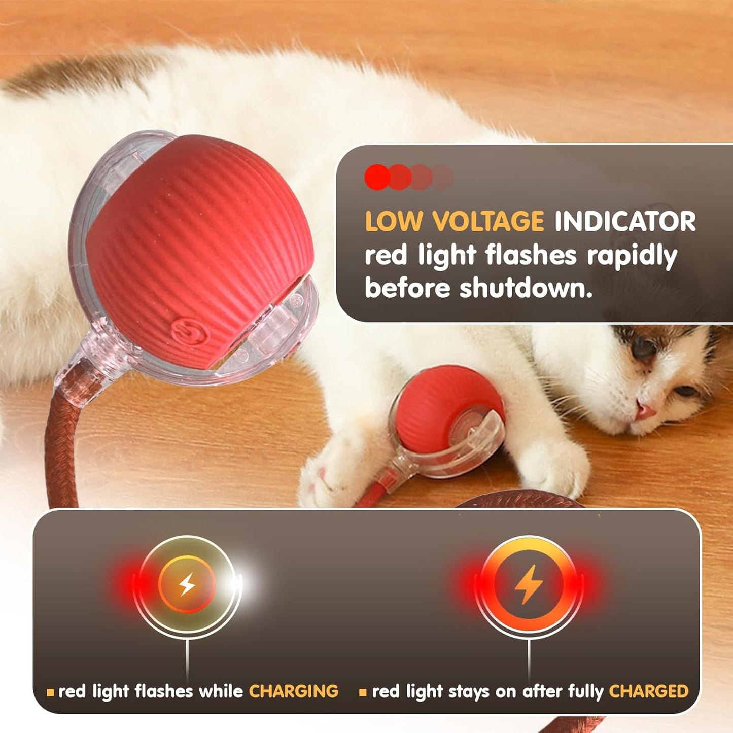 Zoomies - The Rechargeable Interactive Ball Toy