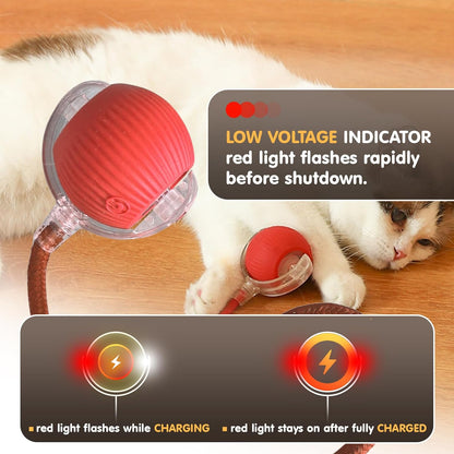 Zoomies - The Rechargeable Interactive Ball Toy