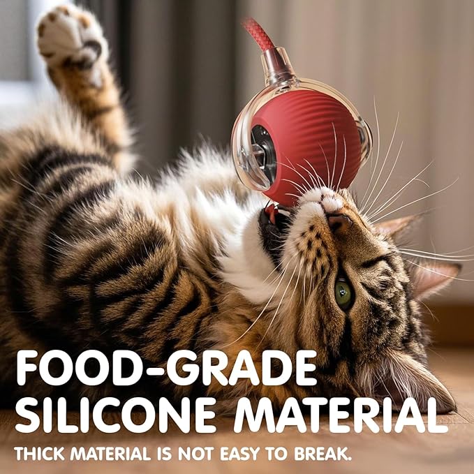 Zoomies - The Rechargeable Interactive Ball Toy